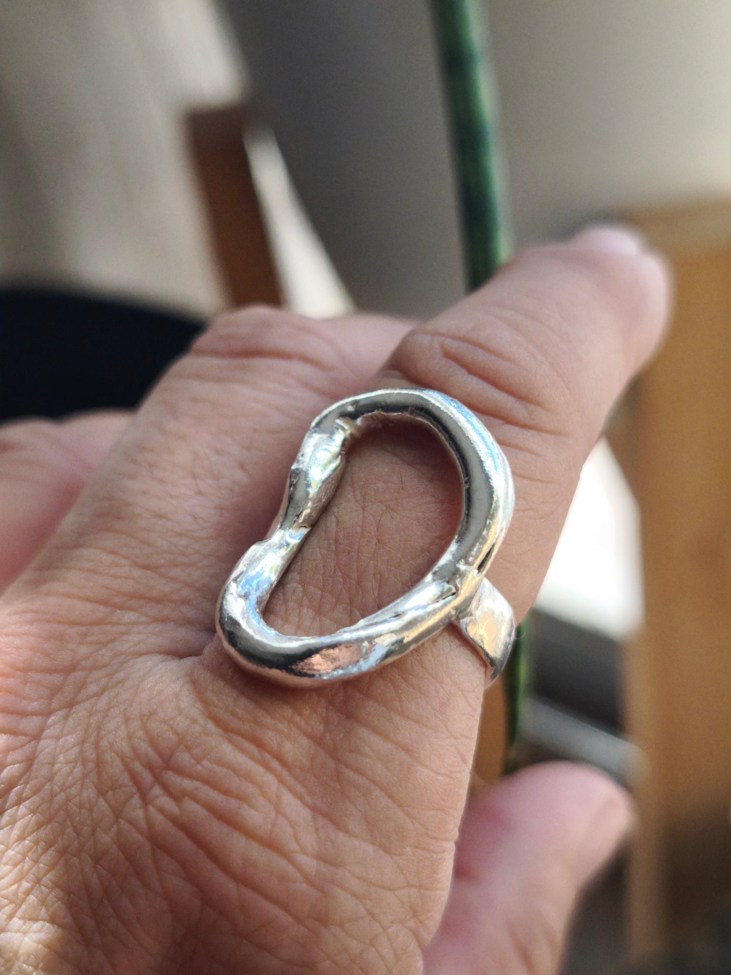 Anillo Circle