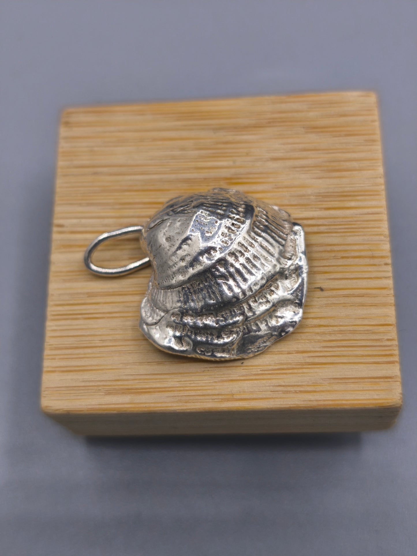 Dije Fossil shell