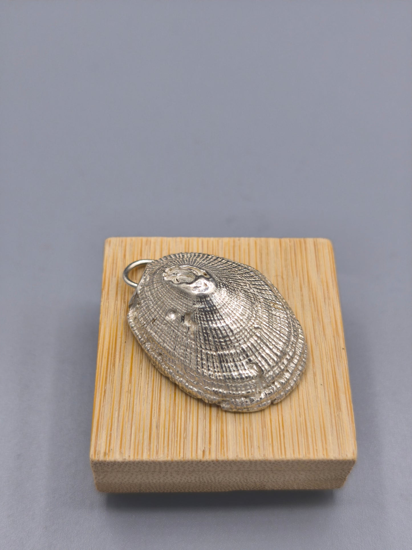 Dije Striped Shell
