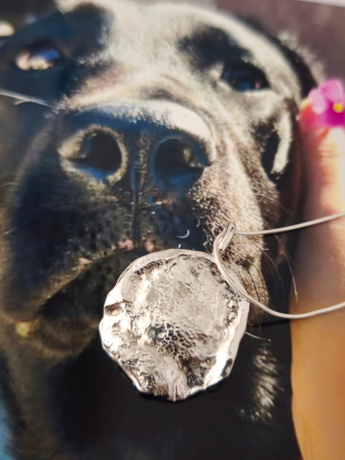 Dije Fingerprint Pets