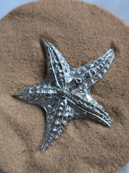 Dije Bis Starfish