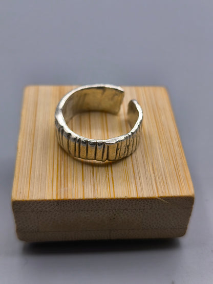 Anillo Petit lines