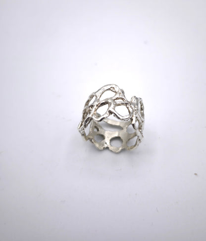 Anillo Ant road