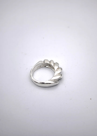 Anillo Bomb turning