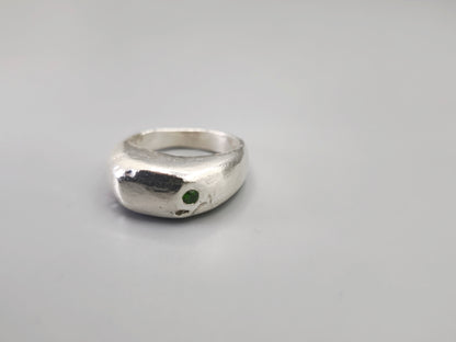 Anillo Imperfect seal 1