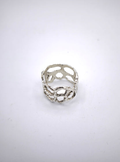 Anillo Ant road